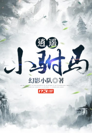 消失的蝴蝶发夹