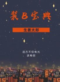 装B宝典